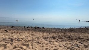 IMG_9475