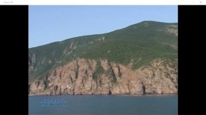 К 125-летию Сергея Есенина, Посвящение С.Есенину Сл. , муз., исп. #СамуилФрумович