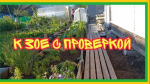 14/7 25 ПРИЕЗЖАЛИ МУЖИЧКИ. ИДУ ПОСМОТРЕТЬ БАНЮ. ВЫЕХАЛИ В ГОРОД. СПЕШУ В ГОСТИ И ВСЕМ ОТВЕТИТЬ.