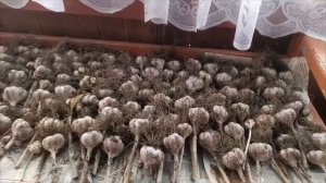 Земля приучает к безмолвию. #жизньвдеревне