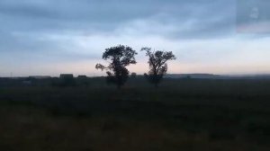 Колодец у леса. Страшные истории на ночь 🫣🫣🫣