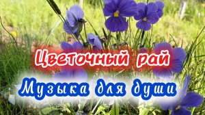САКСОФОН Музыка для души.