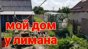 Дом у лимана. Мистика. Вдребезги. Щенок спаситель. Театр. Цветное яйцо. Новые рецепты.