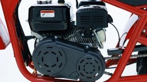 LUCKY DUCK RANGER RB200