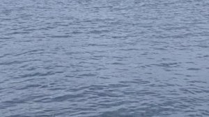 Владивосток 25-07-2025