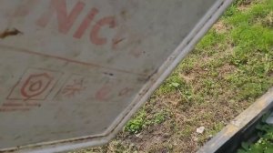 ф.58.привёз рой с организации и с деревни,выпускаем маточек карнику в новые семейки.