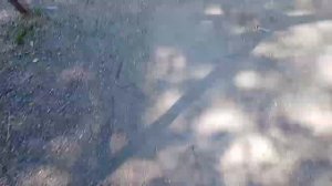 видео_20250717_123234