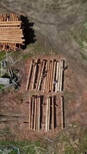 Сибкоттедж-2010/Siborloghome