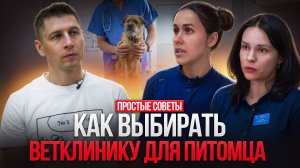 Как выбрать ветклинику  - честный разговор с ветеринарами