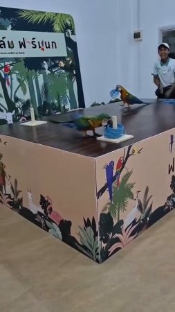 Иногда, чтобы победить, нужно просто немного смухлевать