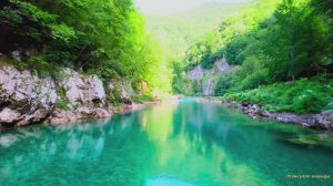 #Коран#АтТовба#СамыеКрасивыеМеста#Relaxation##Islam#Quran#AtTaubah#Minshawiy #4кВидео#23часть#