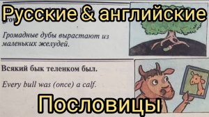 Сравнение Русские и английские пословицы и поговорки!