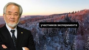 ВЕЛИЧАЙШЕЕ ОТКРЫТИЕ 21 ВЕКА! Гениальный Ученый Есинори Осуми и Его Метод Голодания