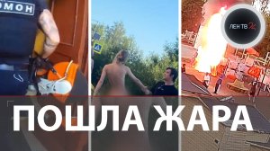 Без одежды и тормозов | Дельфины у Питера? | К теще с топором | Эстония ломает дорогу в Россию