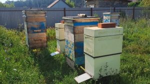 Обстановка на пасеке 25 июля