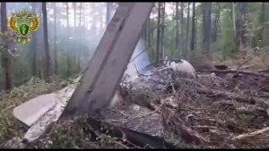 Кадрами с места крушения самолета Ан-24 поделилась прокуратура