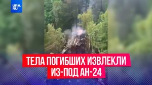 Тела погибших извлечены из-под обломков Ан-24