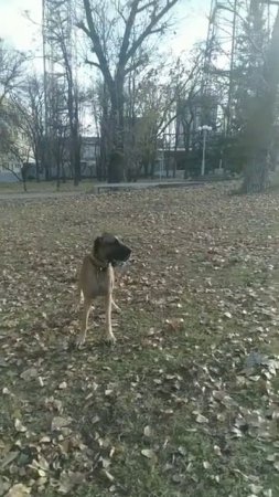 Дурачились с Холли