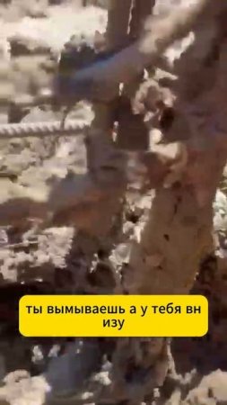 Забыл Подбетонку? Готовься Платить Дважды!