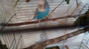 как вам мои мини разрушители