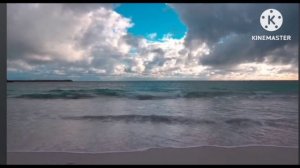 мы родились в Сибири//очередной развод хомяков//обзор канала