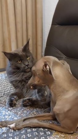 1000258031.mp4