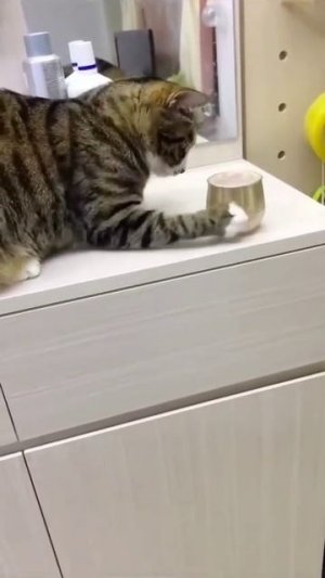 очень смешно ха ха ха