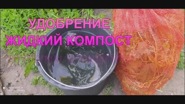 Совершенно бесплатное, отличное органическое удобрение  ! Жидкий компост! Удобряем им Всё!