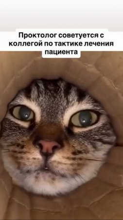 Медицинское