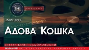 Адова Кошка - Стивен КИНГ (читает Юрий ЗАБОРОВСКИЙ) | аудиокниги слушать бесплатно онлайн