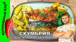 ★ Скумбрия запечённая с чесноком и паприкой — простой, сочный и ароматный рецепт | Кулинарный Клуб