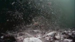 1000047242.mp4Волга гл.5м.25.07.2025г.