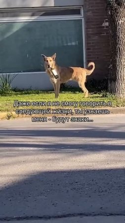 1000258044.mp4