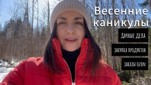 Уехали на каникулы на дачу / Воронки от снарядов в лесу возле дома / Закупка и ozon