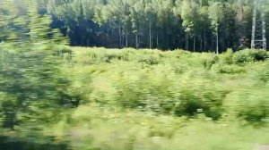 Республика Башкортостан вид из окна автобуса 2 (поездка в автобусе из Казани в Магнитогорск)