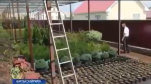 ОТКАЗ ОТ АЛКОГОЛЯ — НАСОВСЕМ
