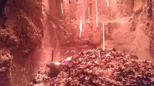 VID_20231204_193319