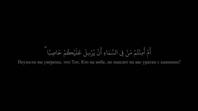 Мухаммад аль-Люхайдан, сура 67 Аль-Мульк | Власть смотреть онлайн