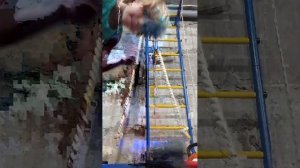 спорт