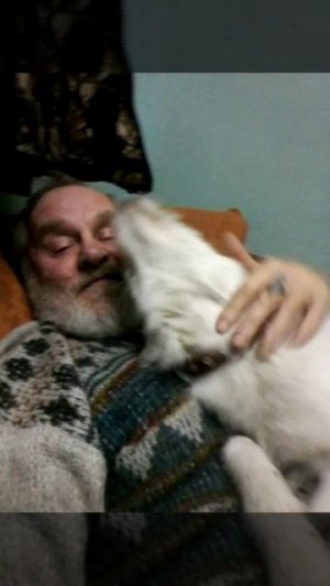 Собака Буся не даёт покоя.Почему собака облизывает хозяина?