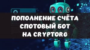Пополнение счёта и создание спотового бота на платформе cryptorg