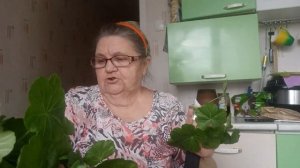 Ура , с наступлением весны !