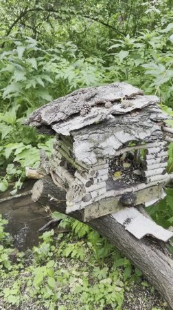 Красноярск. Бурундучок ест
