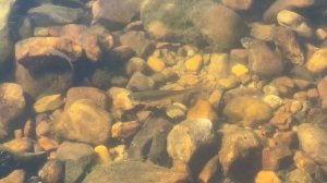 Чусова Староуткинск до Чусовое