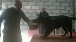 Работа на столе