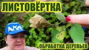 Обработка деревьев от листовёртки