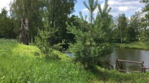 Хлыново. Валентин Золотухин