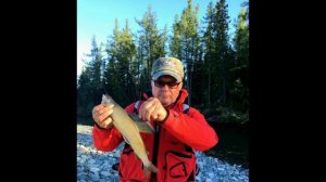 Мы на Ямале