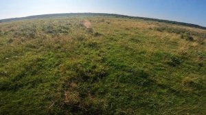 Натаска, работа по дупелю.
Собака Кира 9 месяцев