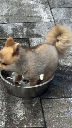 Когда нет возможности поехать в отпуск! 🥲